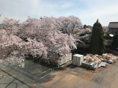 从参观设施3楼拍摄